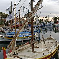 Fanny, pointu de Sanary-sur-mer 